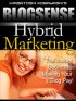 BLOGSENSE Hybrid Marketing
