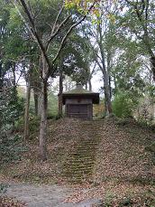 肌の秘密12