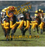 競馬予想ソフト「セレブリティ」日本最高峰の競馬予想ソフト