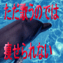 ���󥱡��ȤΥΥ��ϥ�7