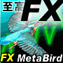 FX-MetaBird