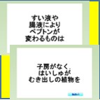 中学受験 理科・社会 脳プレス高速暗記講座 理科編（上）（下）セット