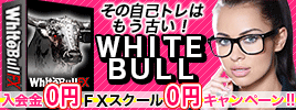 WhiteBullFX-ホワイトブルFX システム完全版-