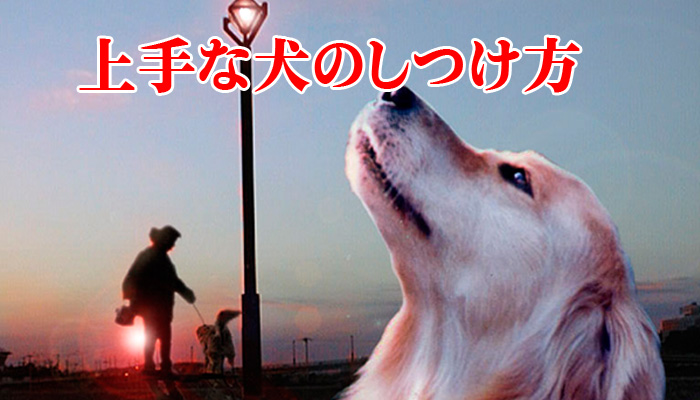 ʸΤĤ