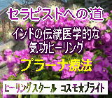 上野式生命素子プラーナ療法中級コース1-4/118000